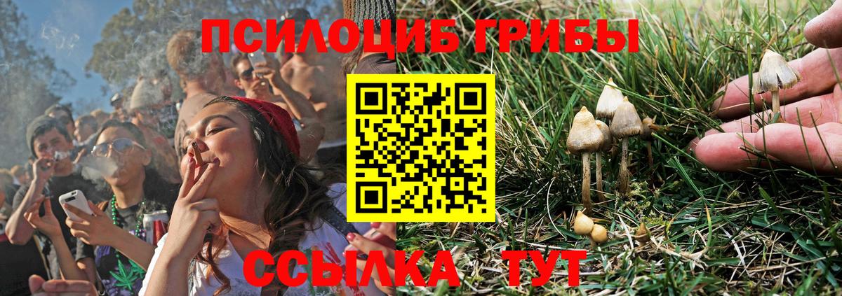 Псилоцибиновые грибы ЛСД Баксан
