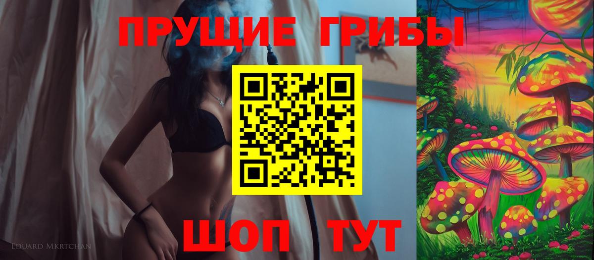Баксан  Галлюциногенные грибы Psilocybe  Вход с VPN 